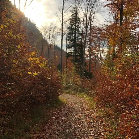 Hochgern *