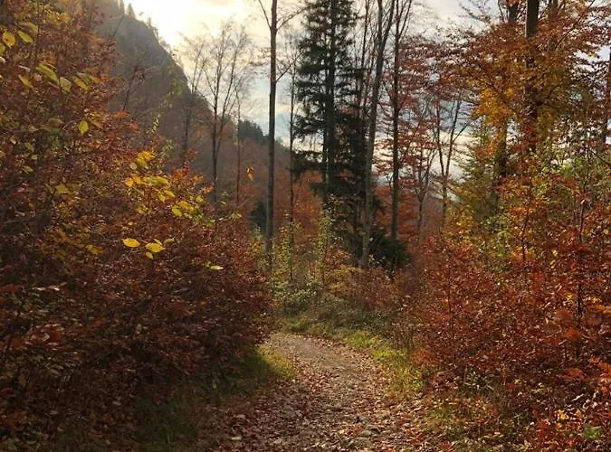 Hochgern *